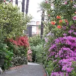 Hotel Garni Rivabella Au 3*