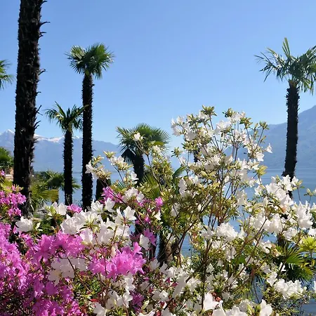 Garni Rivabella Au Hotel Brissago