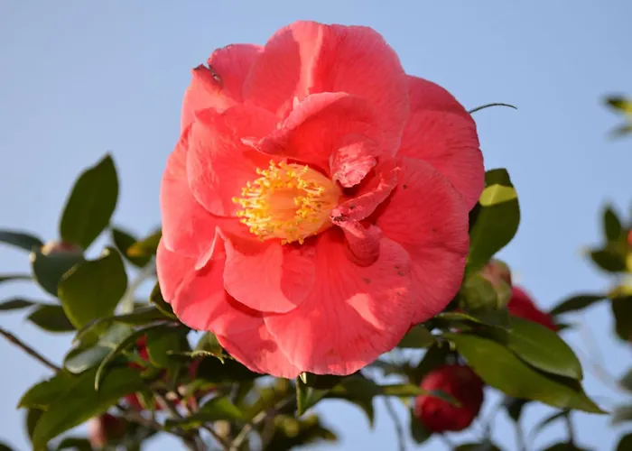 Garni Rivabella Au 3* 브리사고