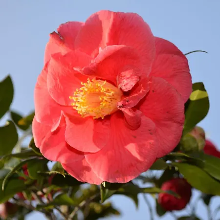 Garni Rivabella Au 3* بريساغو