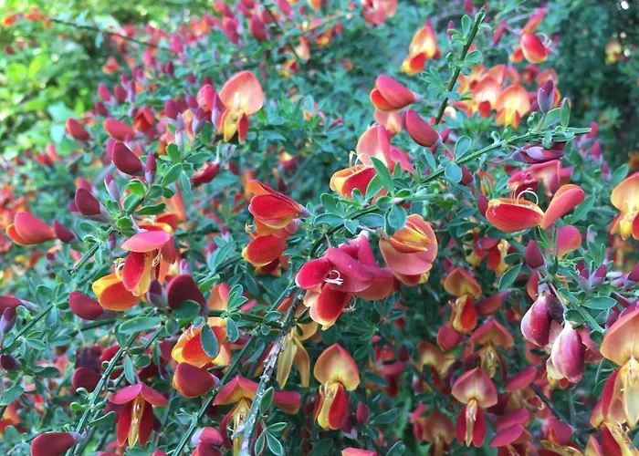 Garni Rivabella Au 3* بريساغو