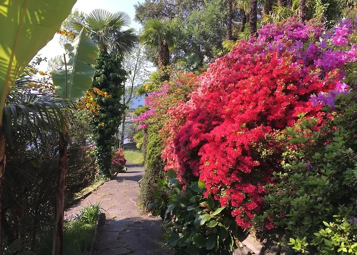 Garni Rivabella Au فندق